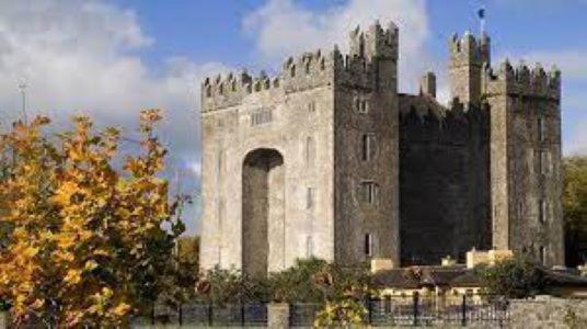 Castletroy Park Hotel Limerick Junction Dış mekan fotoğraf